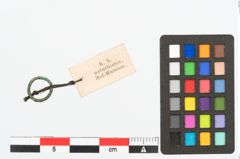 Foto von Bronzering (NHMW-PRAE-026647)